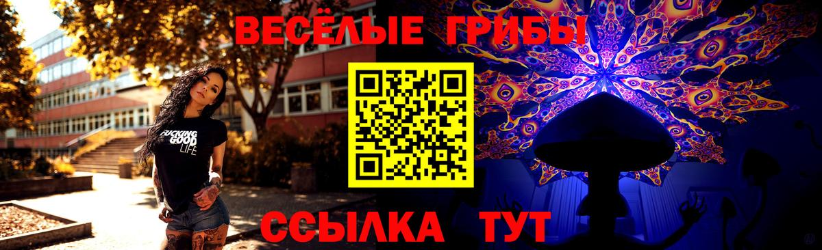 Псилоцибиновые грибы Cubensis  Псилоцибиновые грибы мицелий  Нефтекумск  Вход с VPN 